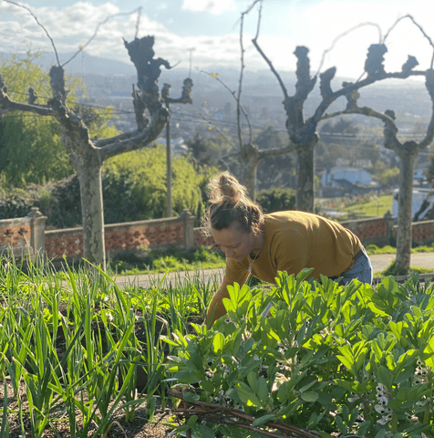 galeria catlovecoffee